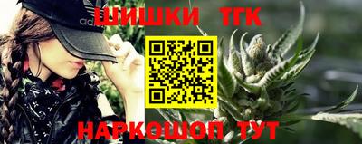 apvp Ярославль