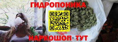 apvp Ярославль
