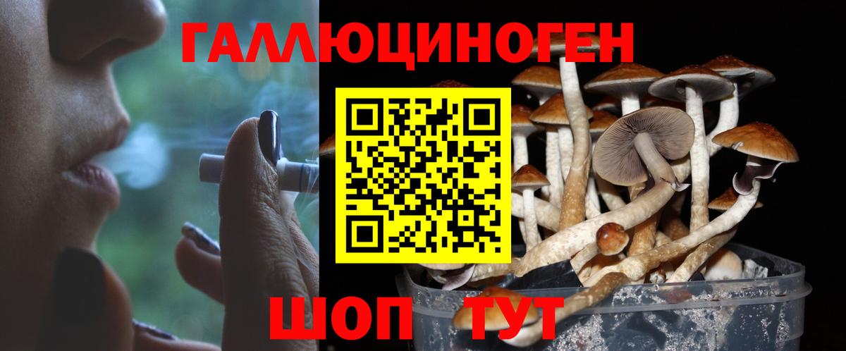 Галлюциногенные грибы прущие грибы  Вход с VPN  купить наркоту  Шарыпово 